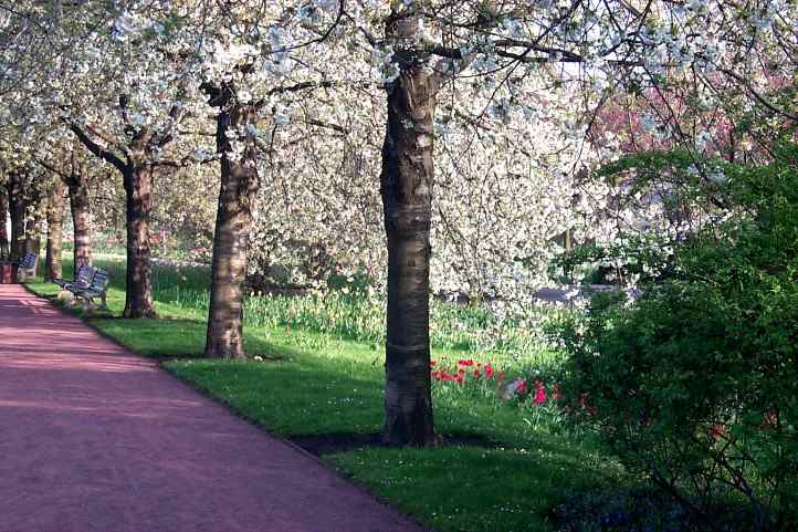 Baumbltenallee im Britzer Garten.