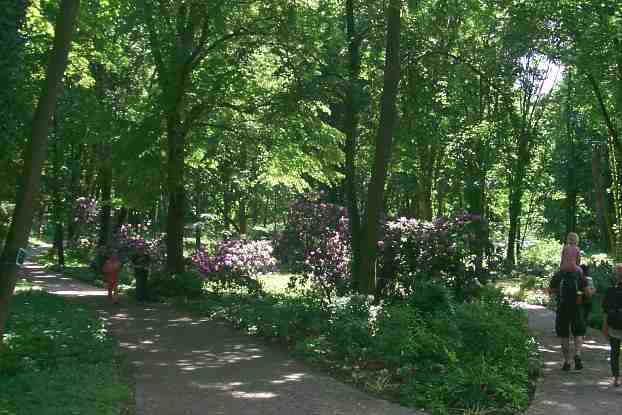 Rhodedendrontal auf dem BUGA Gelnde Weinberg in Rathenow