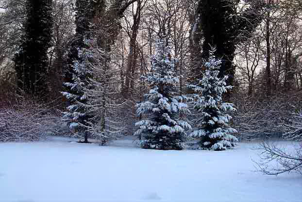 Winter im Park Sanssouci.