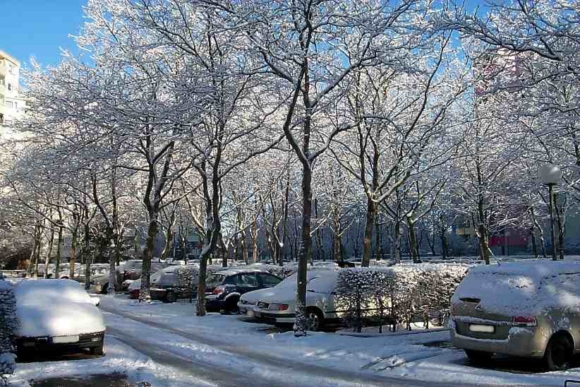 Wieder in der Berliner Winterstadt zu Hause.