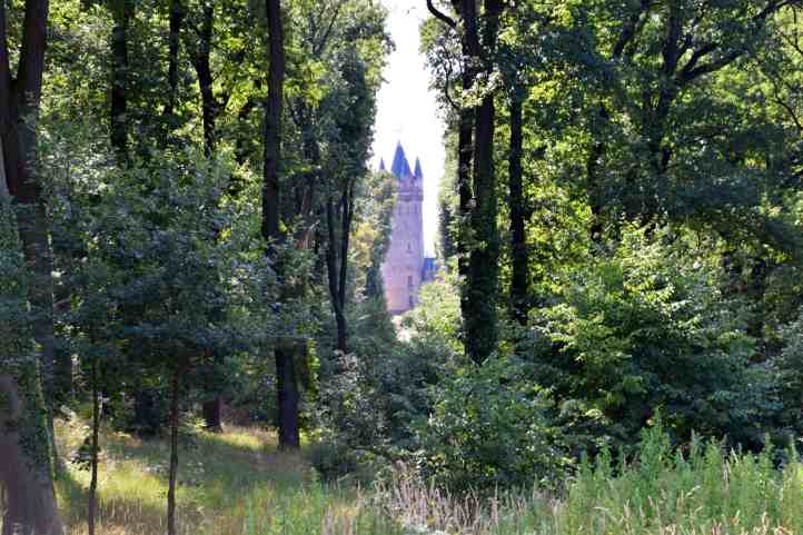 Im Park Babelsberg - Tunnelblick zum Flatowturm.