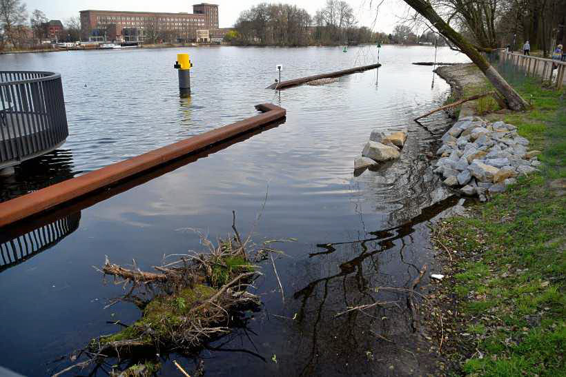 Fr mehr kologische Vielfalt am Spreeufer - Flachwasserzone am Ufer.