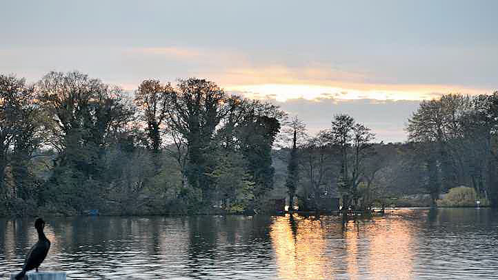 Abendblick zur Insel Hasselwerder, Tegeler See in Berlin