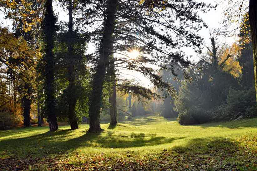 Herbstlicher Park in Sanssouci.