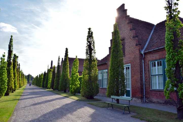 Pyramideneichen-Hauptallee im Neuen Garten, Potsdam.