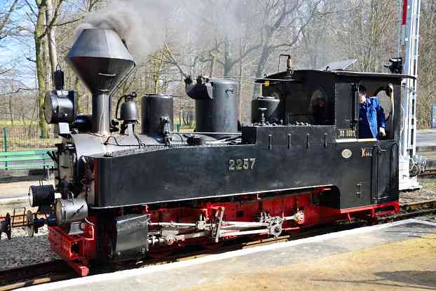 Dampflok der Cottbuser Parkeisenbahn