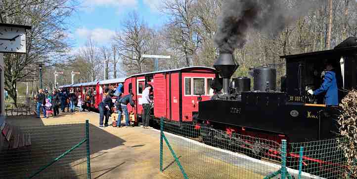 Der Zug der Cottbuser Parkeisenbahn