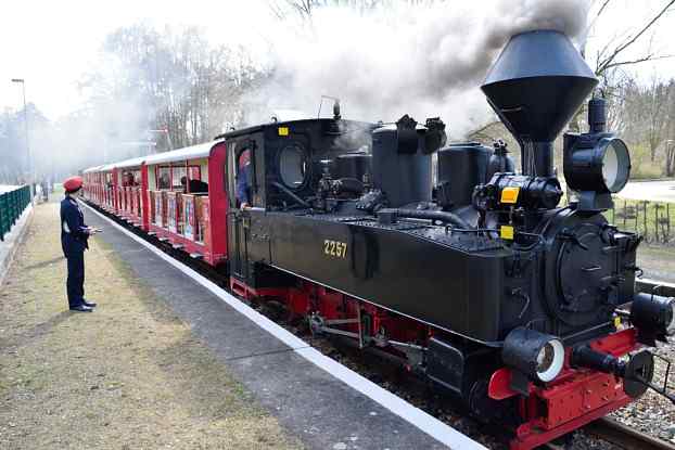 Dampflok_Cottbuser_Parkeisenbahn