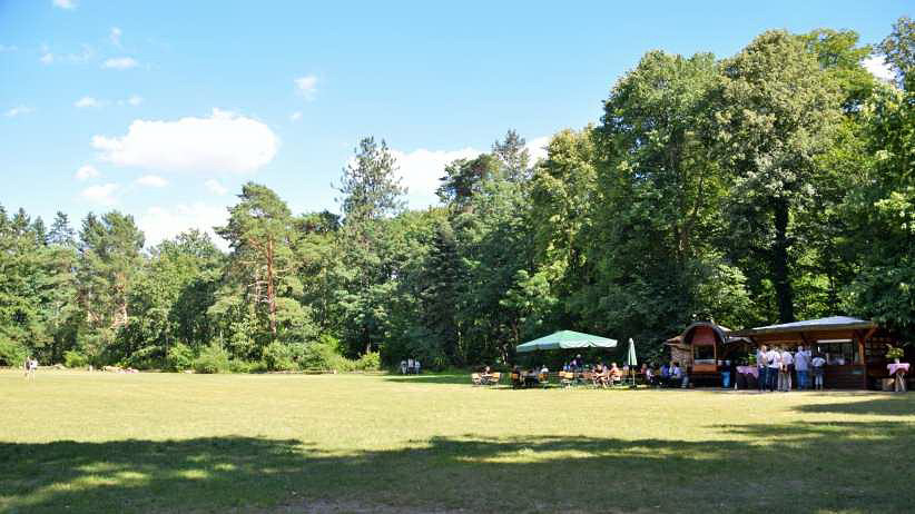 Die offizielle Liegewiese mit Kaffeebar auf der Pfaueninsel.