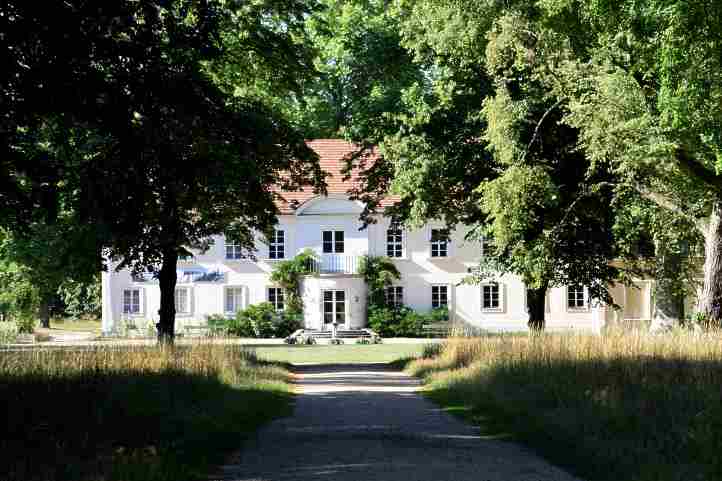 Blick zum Schloss aus der Baumallee.