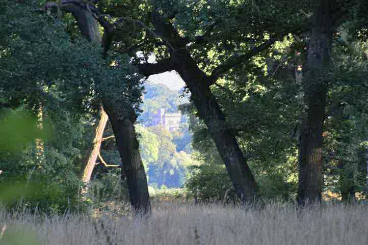 Sichtbeziehung durch den Schlosspark Sacrow zum Schloss Babelsberg.