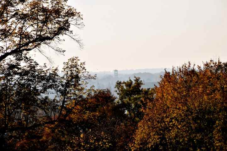 Auf dem Boettcherberg - Blick durch die Waldschneise.