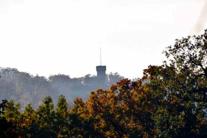 Auf dem Boettcherberg - Blick durch die Waldschneise.