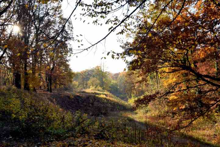 Auf dem Bttcherberg - Waldschneise - Sicht nach Babelsberg und Potsdam.