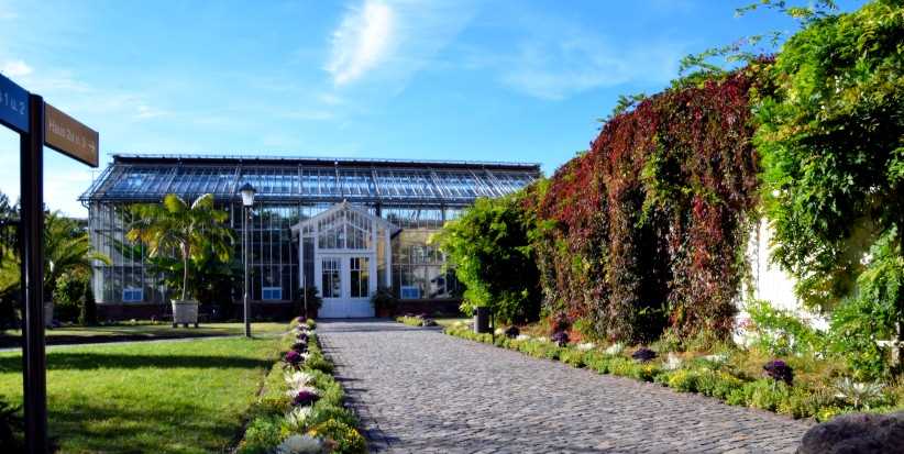 Der Gewchshauskomplex - Maulbeerallee - Potsdam.