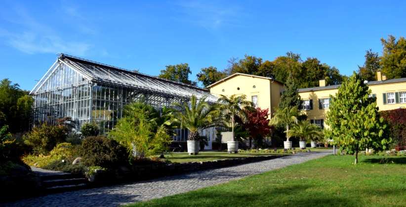 Der Gewchshauskomplex - Maulbeerallee - Potsdam.