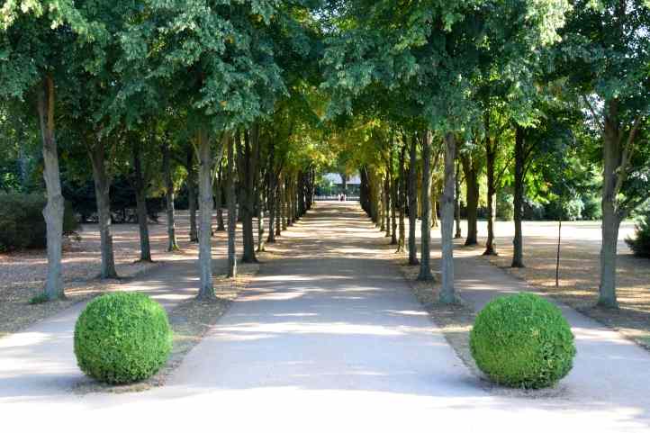 Krzester Weg zum Schloss Charlottenhof.