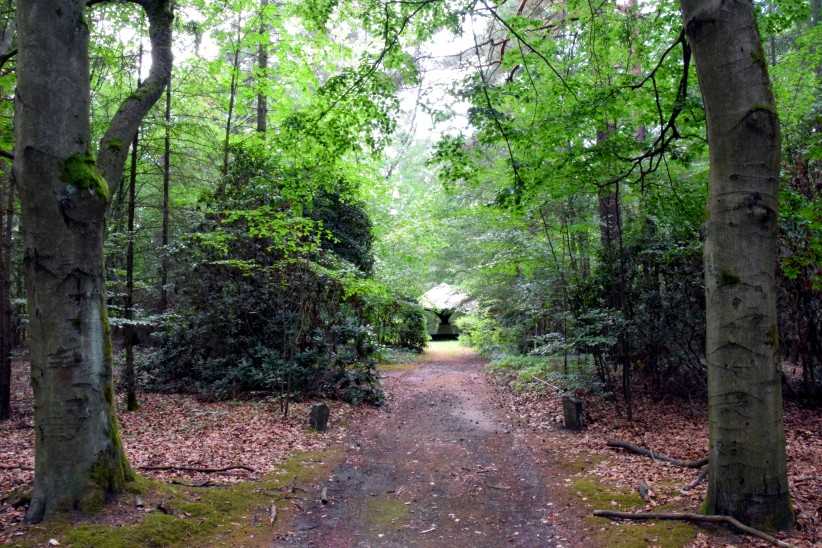 Weg durch den Laubwald auf dem Stansdorfer Sdwestfriedhof zum Erholungsplatz.