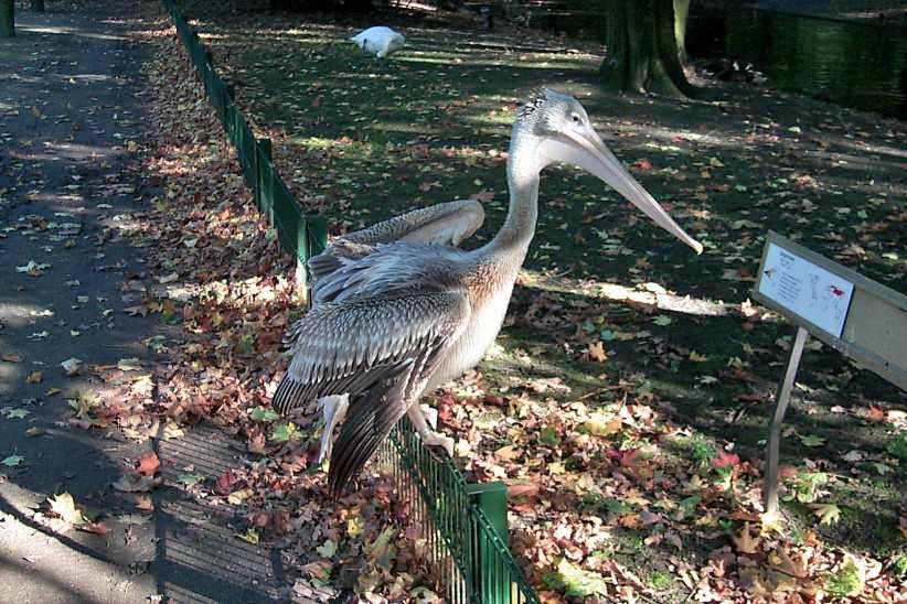 Muss erst mal das Schild im Tierpark lesen.