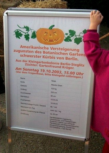 Schild zur Ankndigung der Krbisversteigerung.