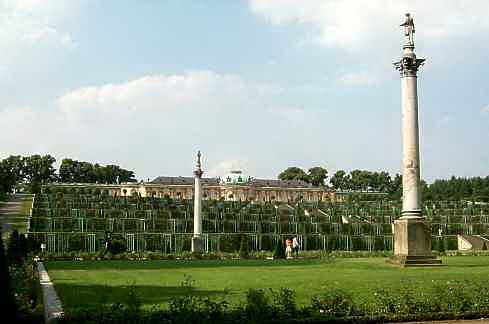 Weinbergterrassen